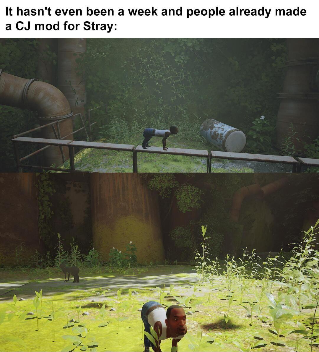 It hasnt even been a week and people already made aCJ mod for Stray