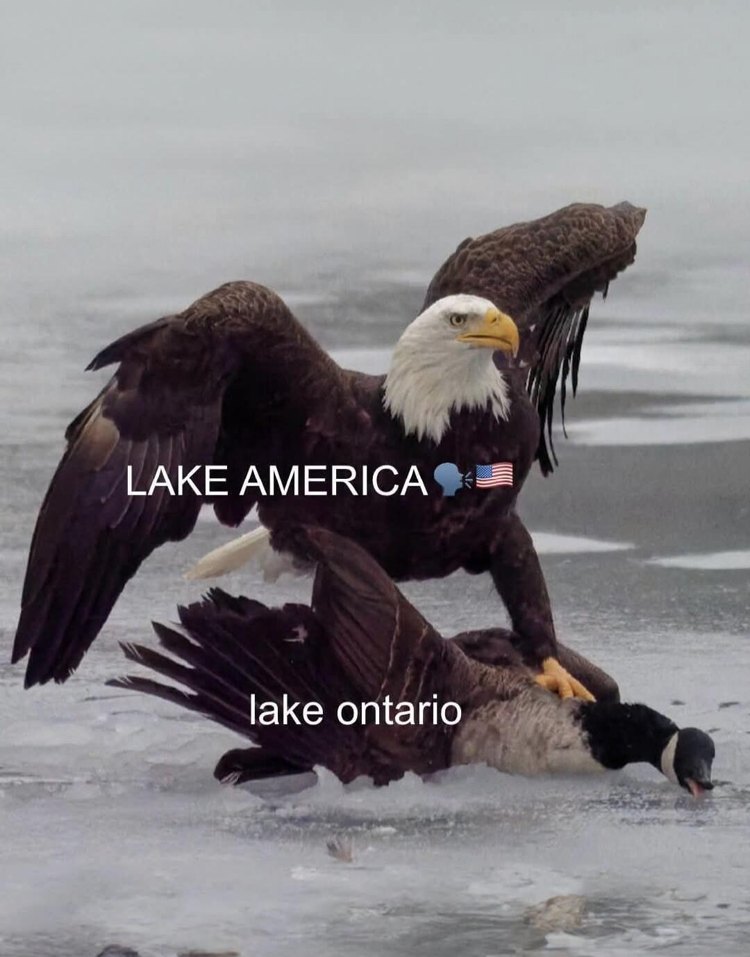 LAKE AMERICA 🗣️🇺🇸 lake ontario