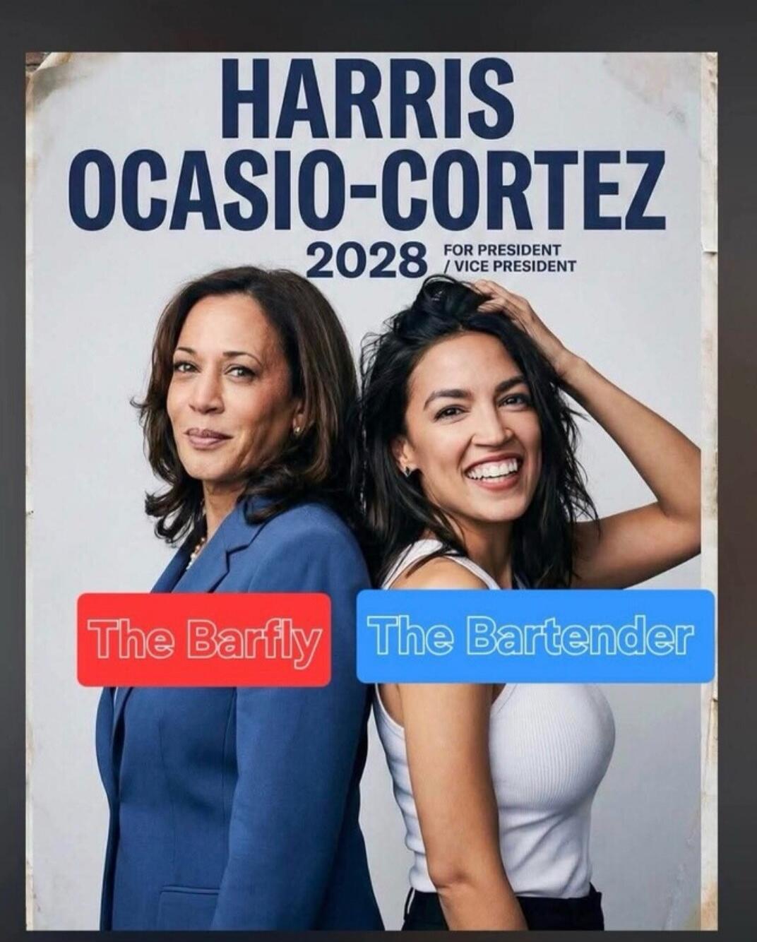 HARRIS OCASIO-CORTEZ 2028 FOR PRESIDENT / VICE PRESIDENT The Barfly The Bartender