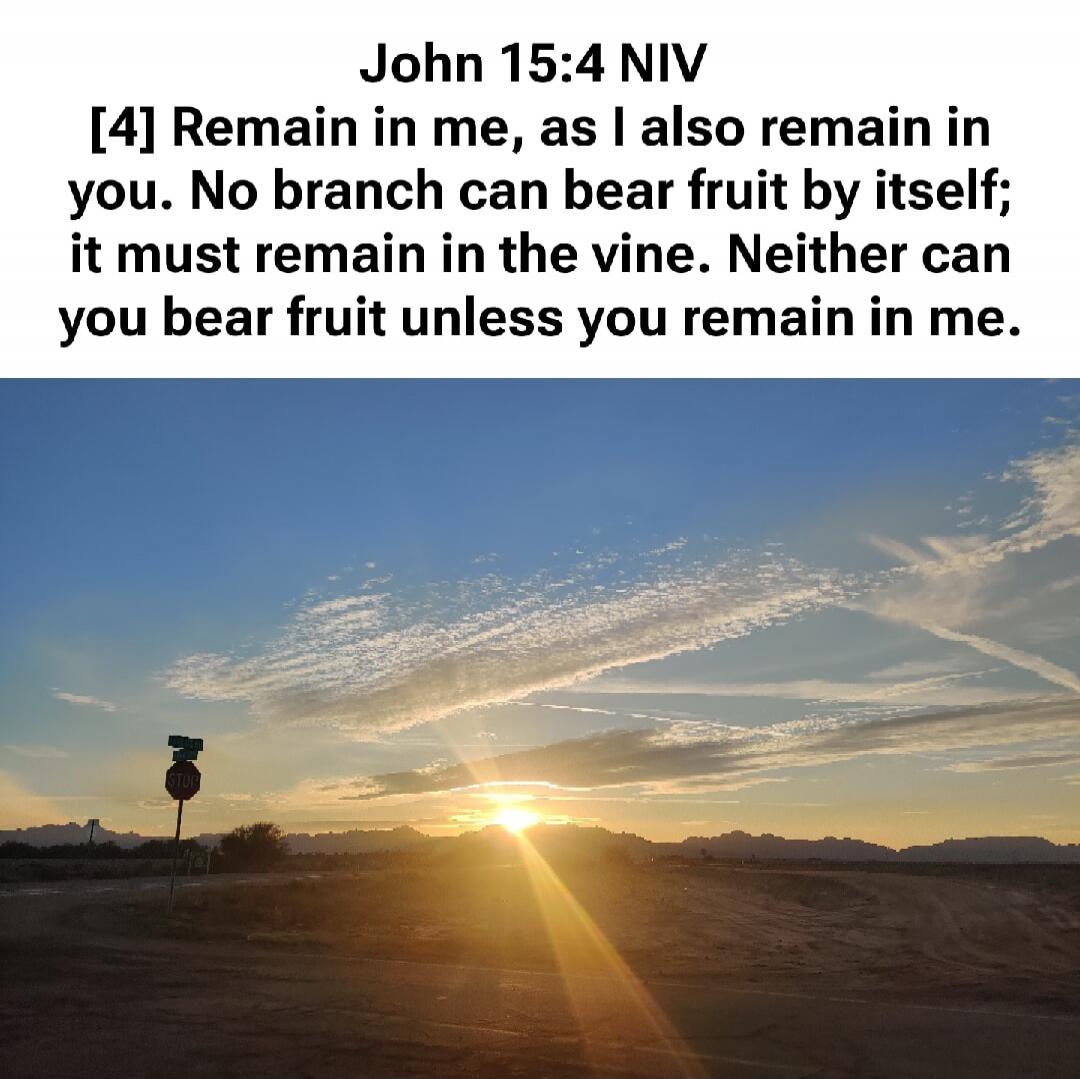 John 15:4 NIV [4] Remain in me, as I also remain in you. No branch can bear fruit by itself; it must remain in the vine. Neither can you bear fruit unless you remain in me.
