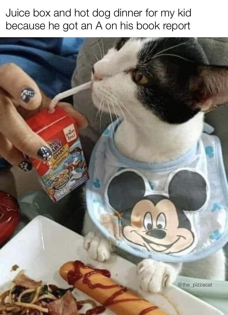 Juice box and hot dog dinner for my kid because he got an A on his book report f me pizacar _