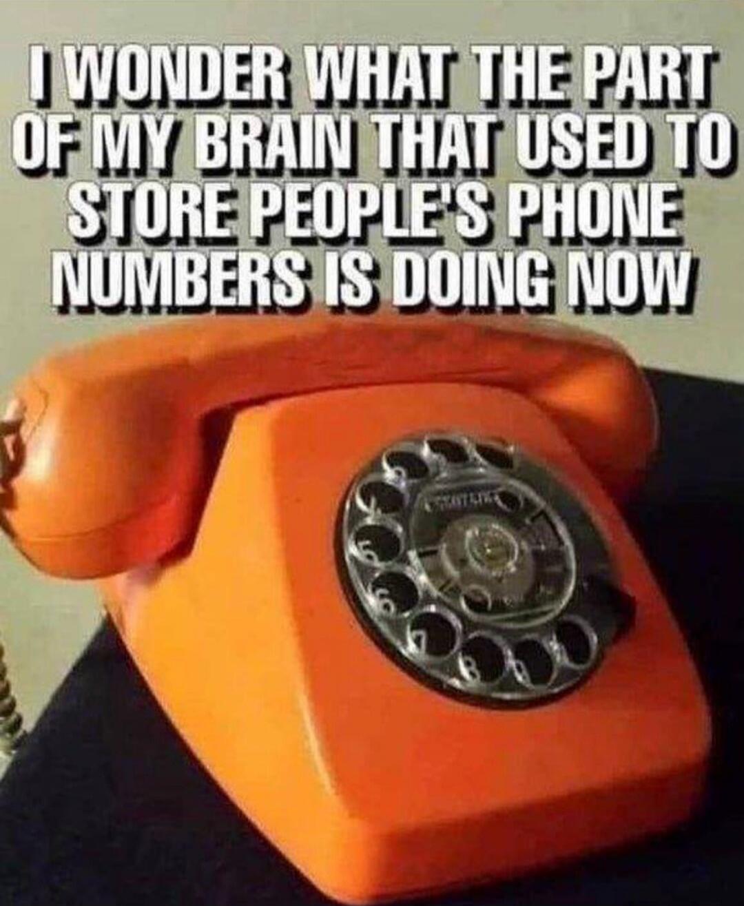 I WONDER WHAT THE PART OF MY BRAIN THAT USED TO STORE PEOPLE'S PHONE NUMBERS IS DOING NOW