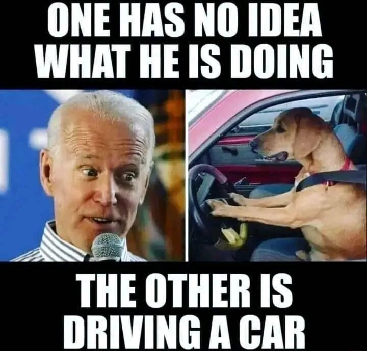 ONE HAS NO IDEA WHAT HE IS DOING r THE OTHER IS TV T