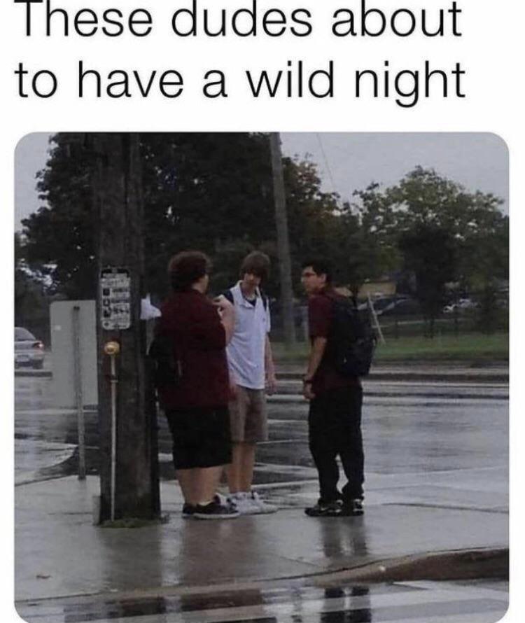to have a wild night