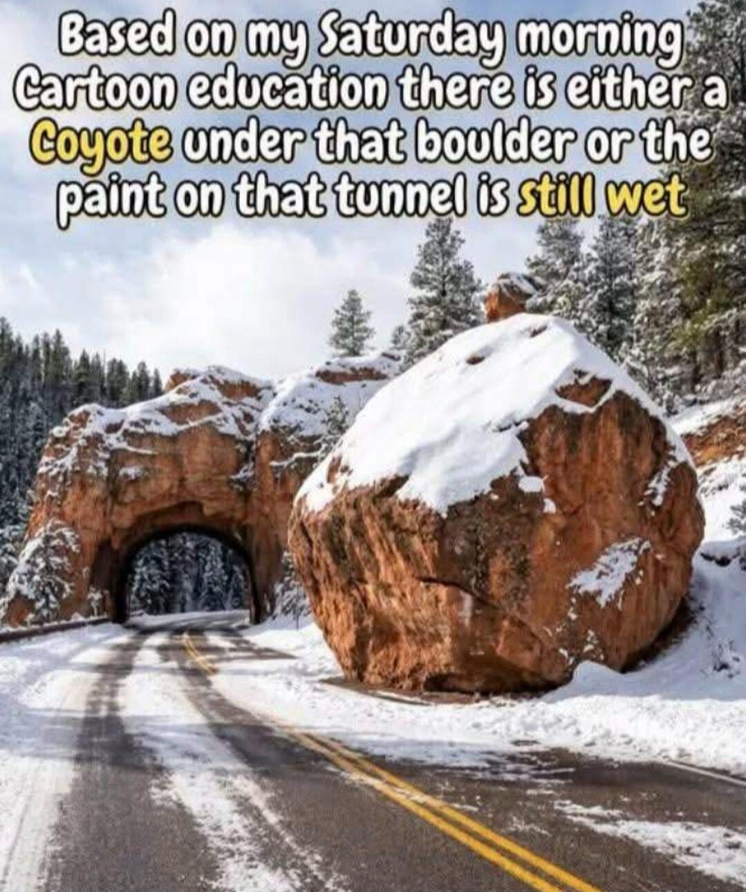 Based on my Saturday morning Cartoon education there is either a Coyote under that boulder or the paint on that tunnel is still wet