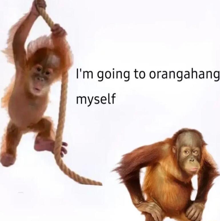 Im going to orangahang myself