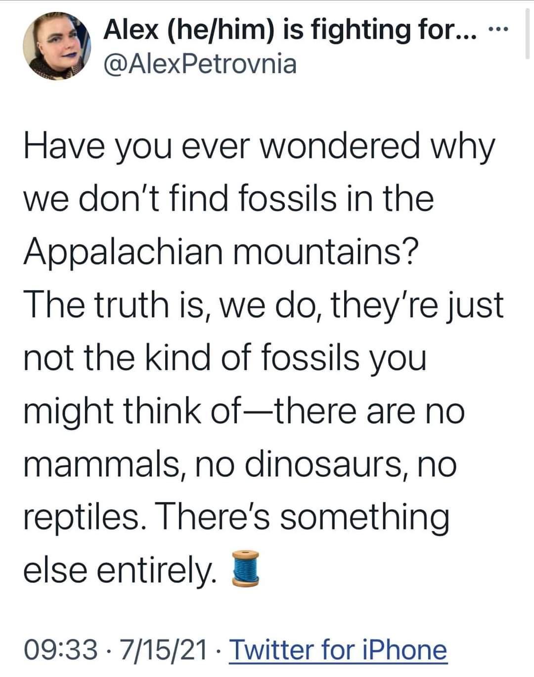 w Alex hehim is fighting for Qu AlexPetrovnia Have you ever wondered why we dont find fossils in the Appalachian mountains The truth is we do theyre just not the kind of fossils you might think ofthere are no mammals no dinosaurs No reptiles Theres something else entirely 0933 71521 Twitter for iPhone