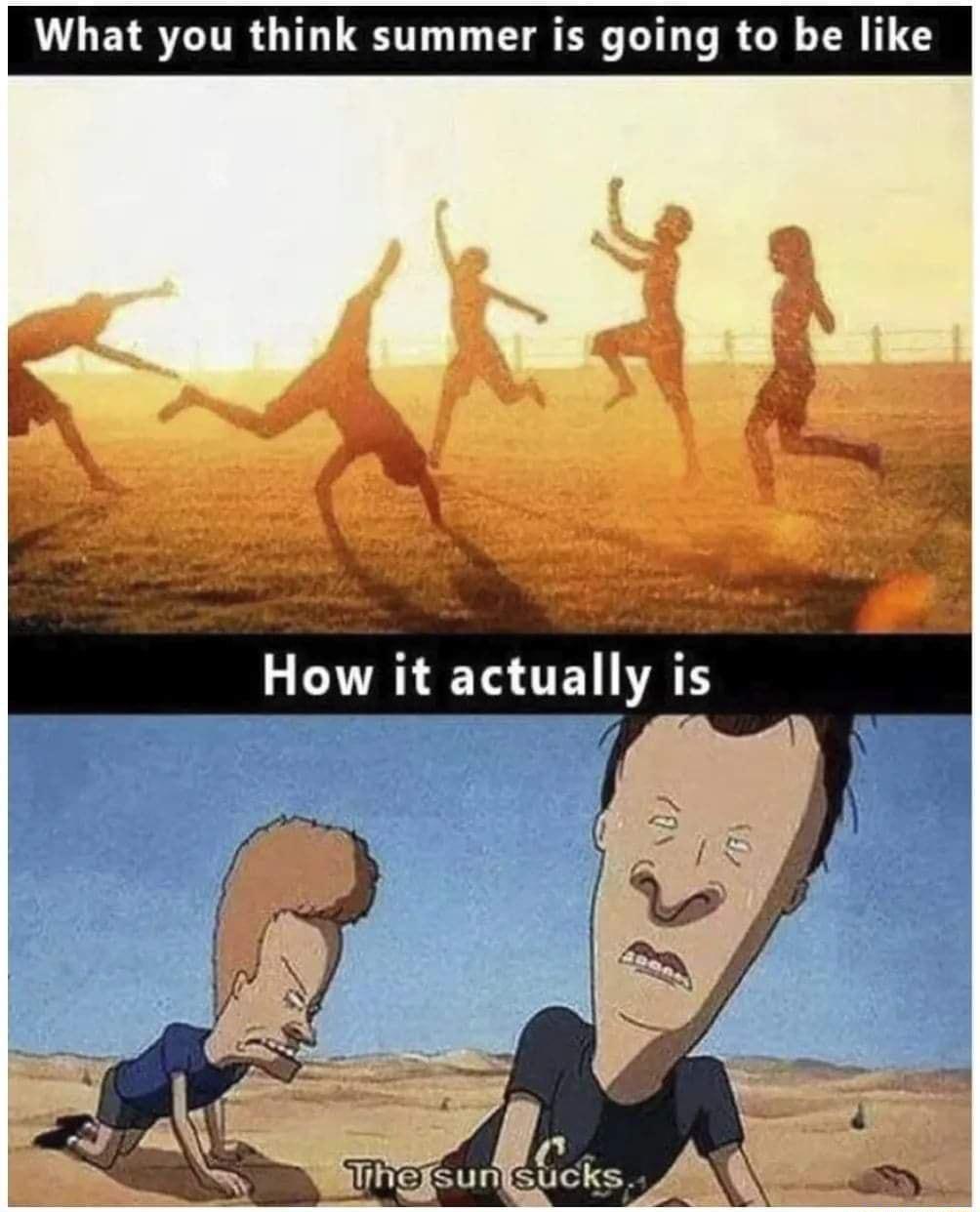 What you think summer is going to be like