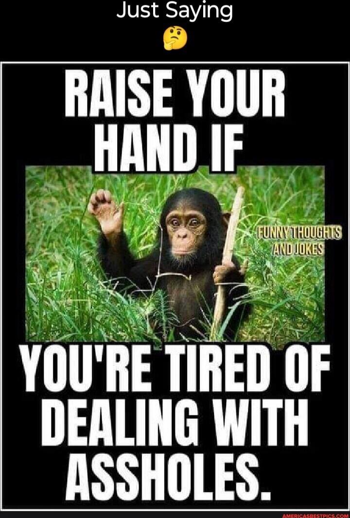 Just Saying
RAISE YOUR HAND IF YOU'RE TIRED OF DEALING WITH ASSHOLES.
FUNNY THOUGHTS AND JOKES