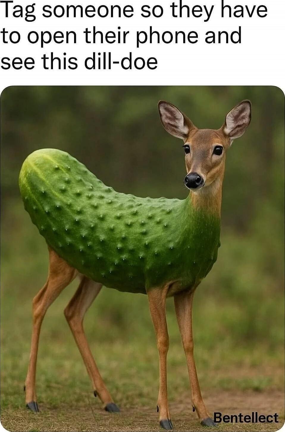 Tag someone so they have to open their phone and see this dill-doe