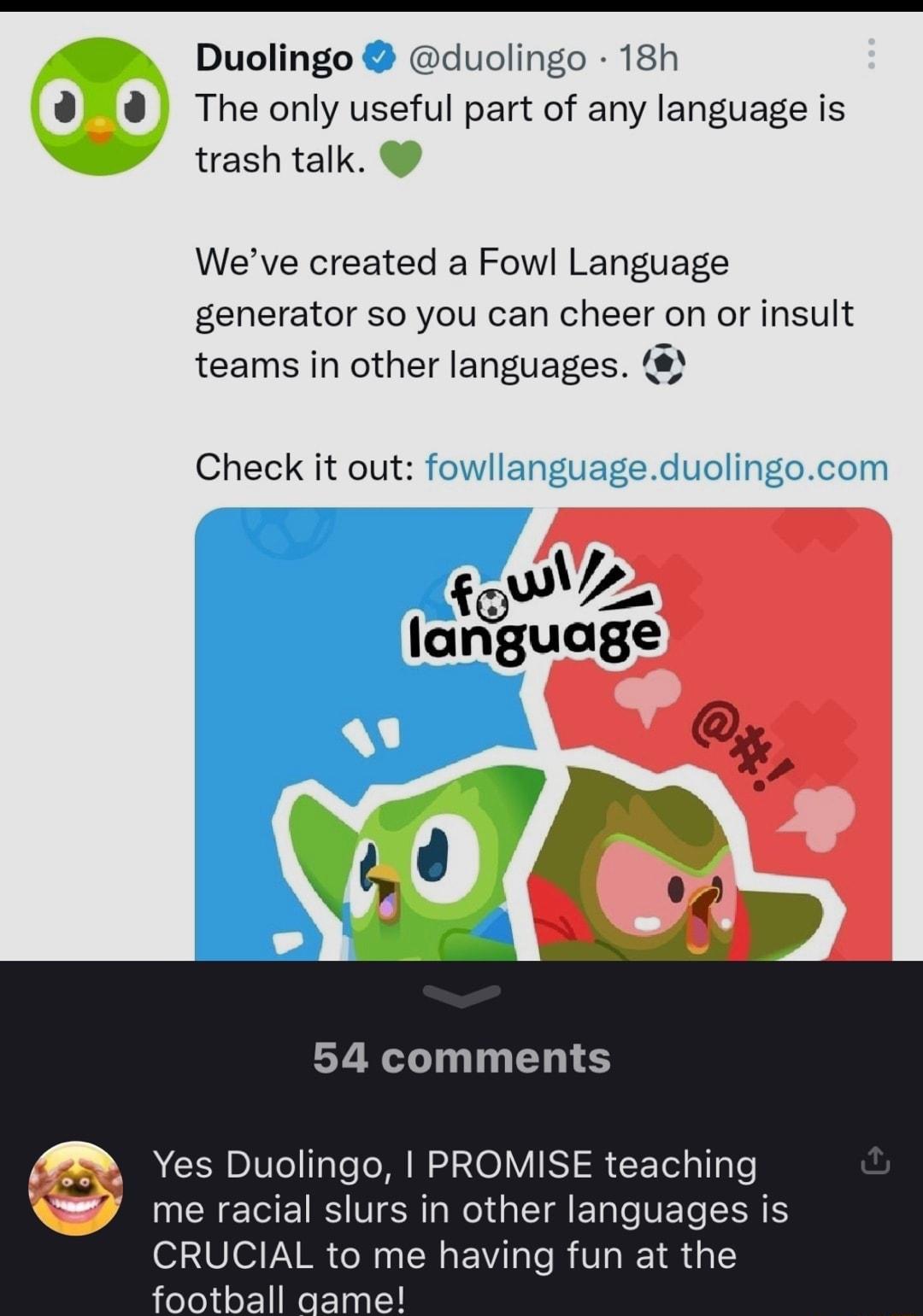 Duolingo duolingo 18h 9 8 The only useful part of any language is trash talk Weve created a Fowl Language generator so you can cheer on or insult teams in other languages Check it out 54 comments Yes Duolingo PROMISE teaching me racial slurs in other languages is CRUCIAL to me having fun at the football aame