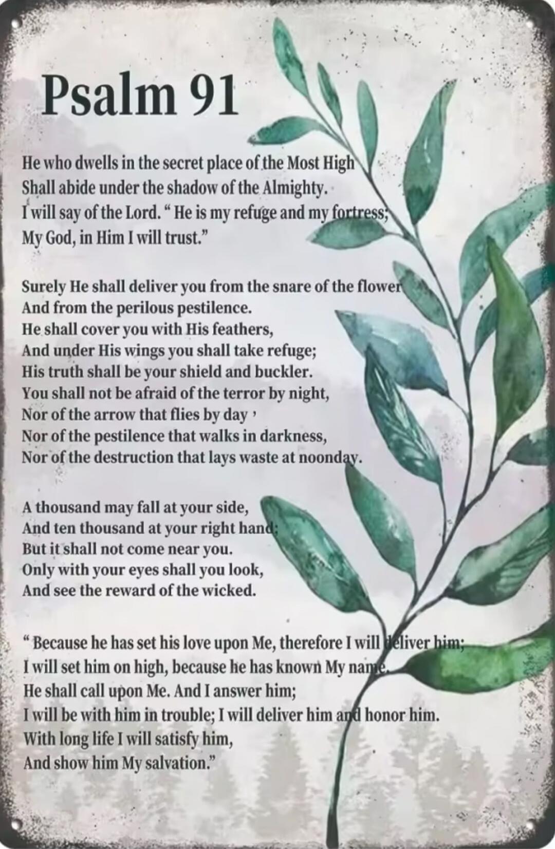 Psalm 91 He who dwells in the secret place of the Most High Shall abide under the shadow of the Almighty. I will say of the Lord. “He is my refuge and my fortress; My God, in Him I will trust.” Surely He shall deliver you from the snare of the fowler And from the perilous pestilence. He shall cover you with His feathers, And under His wings you sha