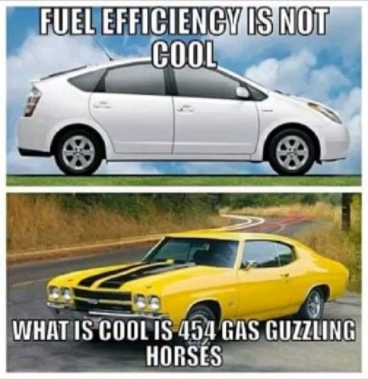 FUEL EFFICIENCY IS NOT COOL. WHAT IS COOL IS 454 GAS GUZZLING HORSES
