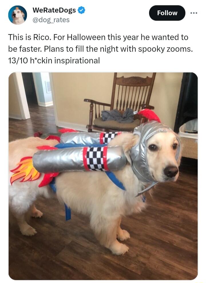 WeRateDogs dog ra This is Rico For Halloween this year he wanted to be faster Plans to fill the night with spooky zooms 1310 hckin inspirational