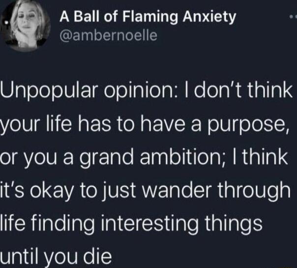 d A Ball of Flaming Anxiety A ambernoelle UlaToleolVEgolelalleall No oTaRd alla your life has to have a purpose o Yo lVE Neg 1ale K Inaloliea Ml Rtalla Y VAN AN ale Staleilea NEillellale RN CICR ialeRiallglel until you die