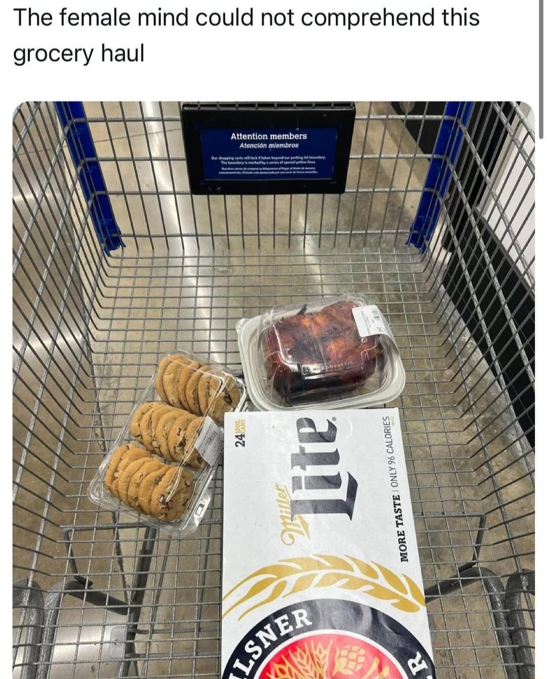 The female mind could not comprehend this grocery haul