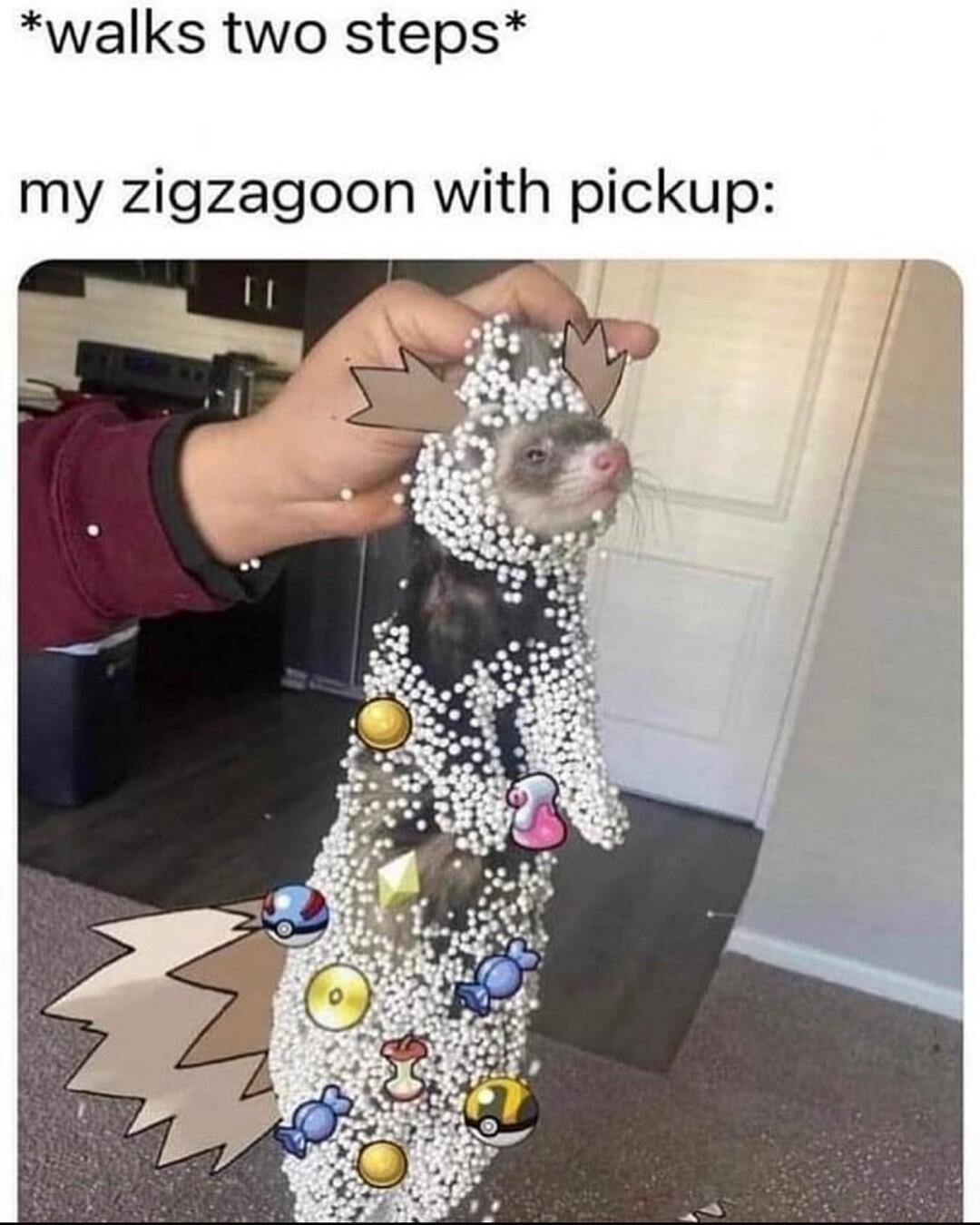 walks two steps my zigzagoon with pickup