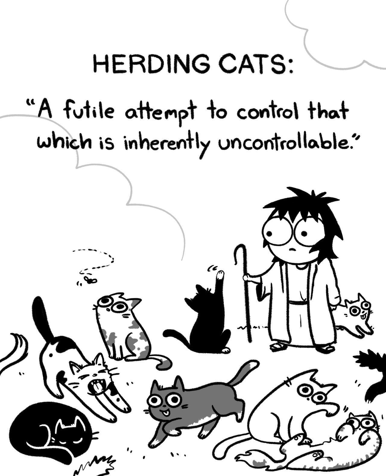 HERDING CATS A futile aftempt 1o control that which is inherently uncoritrollable