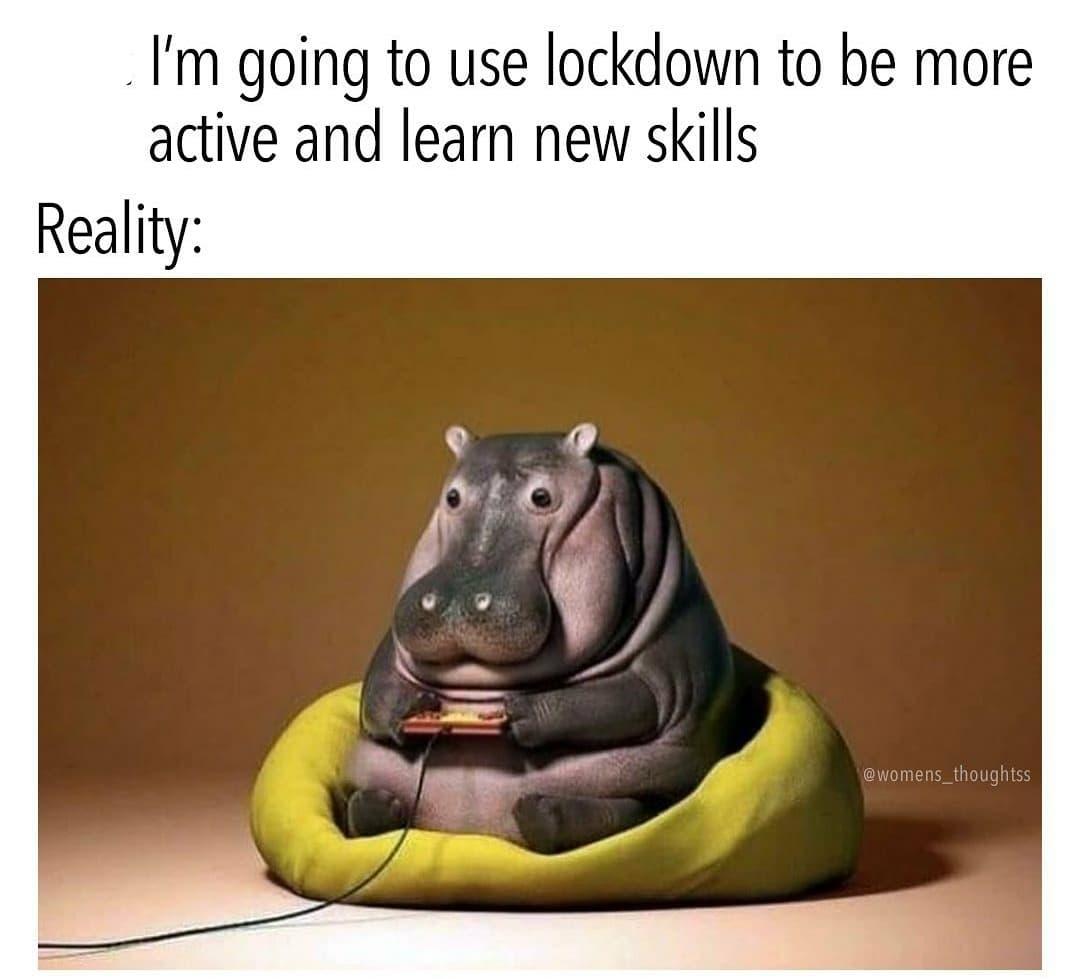 Im going to use lockdown to be more active and learn new skills Reality