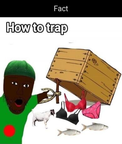 Fact How to trap