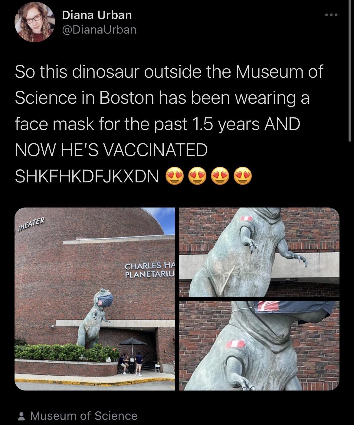 N DIETERVIsE11 QIBIEEINIT o So this dinosaur outside the Museum of Science in Boston has been wearing a N E QR Y M RSRVEISWANID NOW HES VACCINATED IR NGRSO BINE X X X o Museum of Science