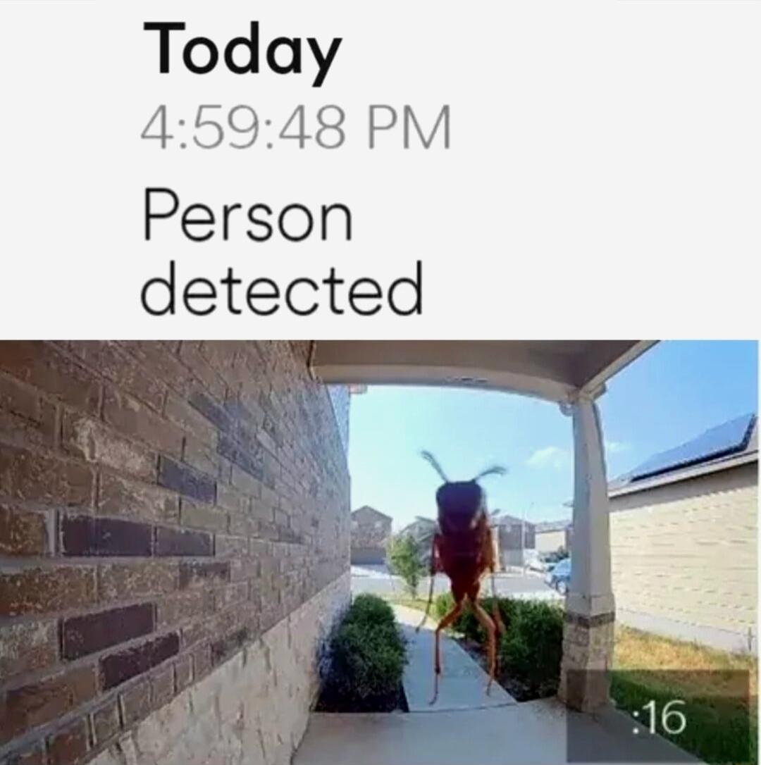 Today 45948 PM Person detected
