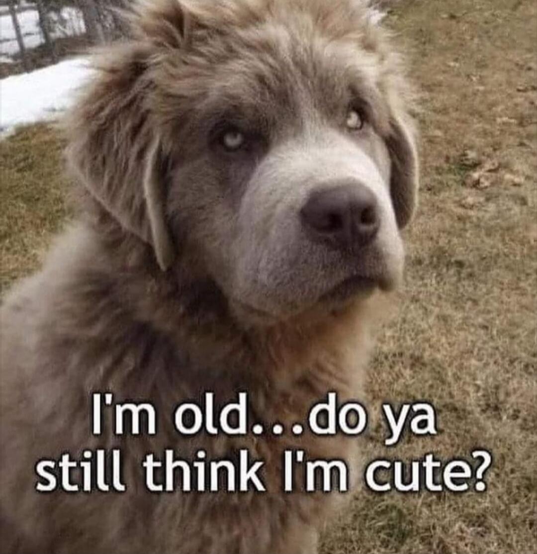 I'm old...do ya still think I'm cute?