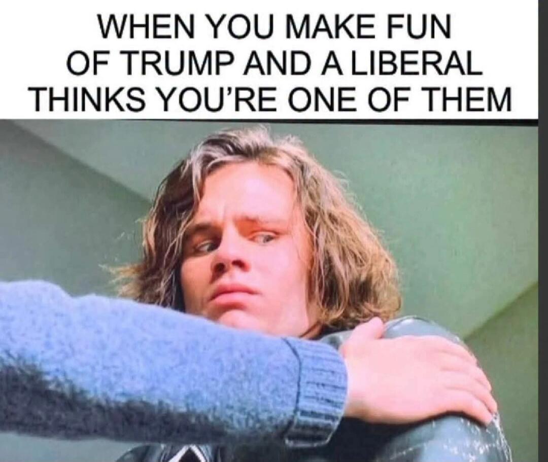 WHEN YOU MAKE FUN OF TRUMP AND A LIBERAL THINKS YOU'RE ONE OF THEM