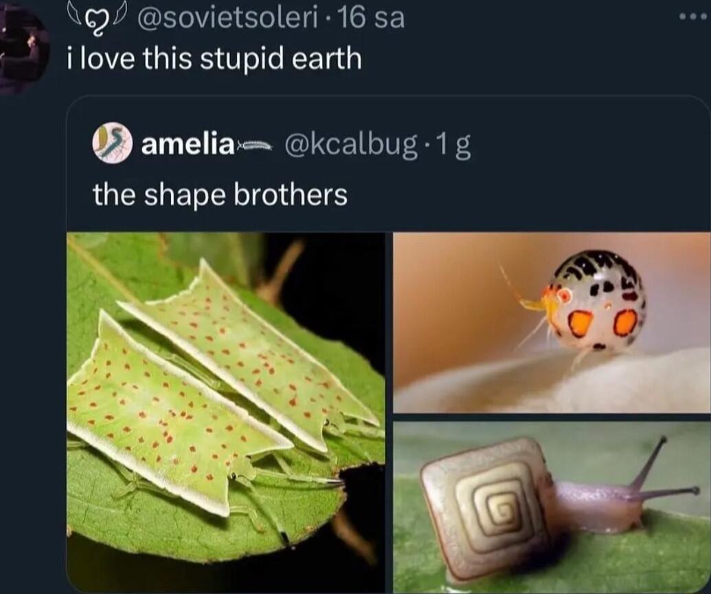 N sovietsoleri 16 sa ilove this stupid earth o amelia kcalbug 1g LU ETER IS