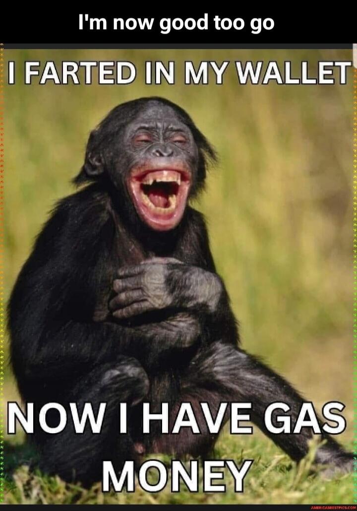 I'm now good to go. I FARTED IN MY WALLET. NOW I HAVE GAS MONEY.
