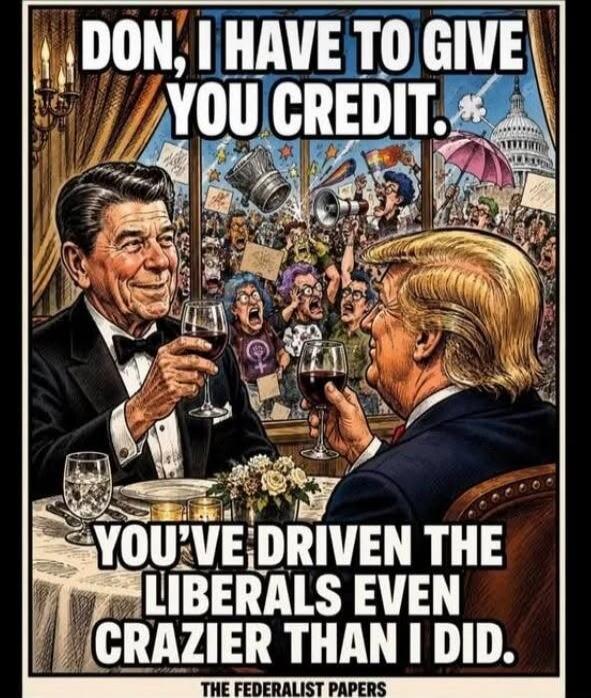 DON, I HAVE TO GIVE YOU CREDIT. YOU'VE DRIVEN THE LIBERALS EVEN CRAZIER THAN I DID. THE FEDERALIST PAPERS
