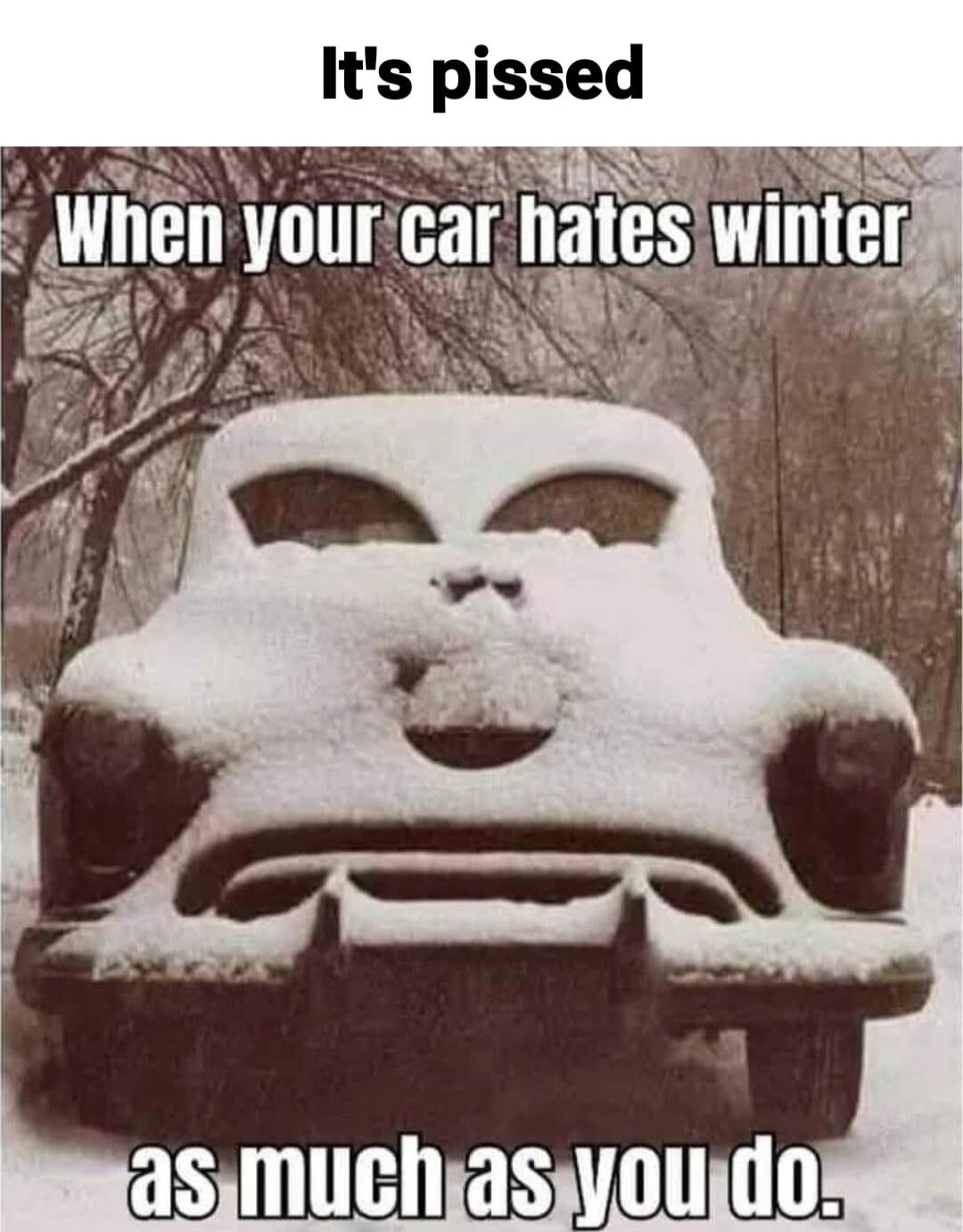 It's pissed When your car hates winter as much as you do.