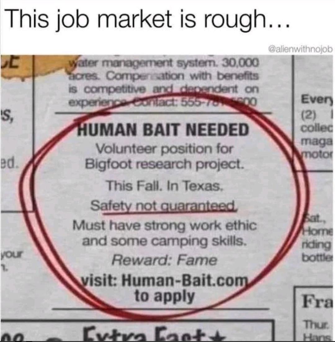 This job market is rough