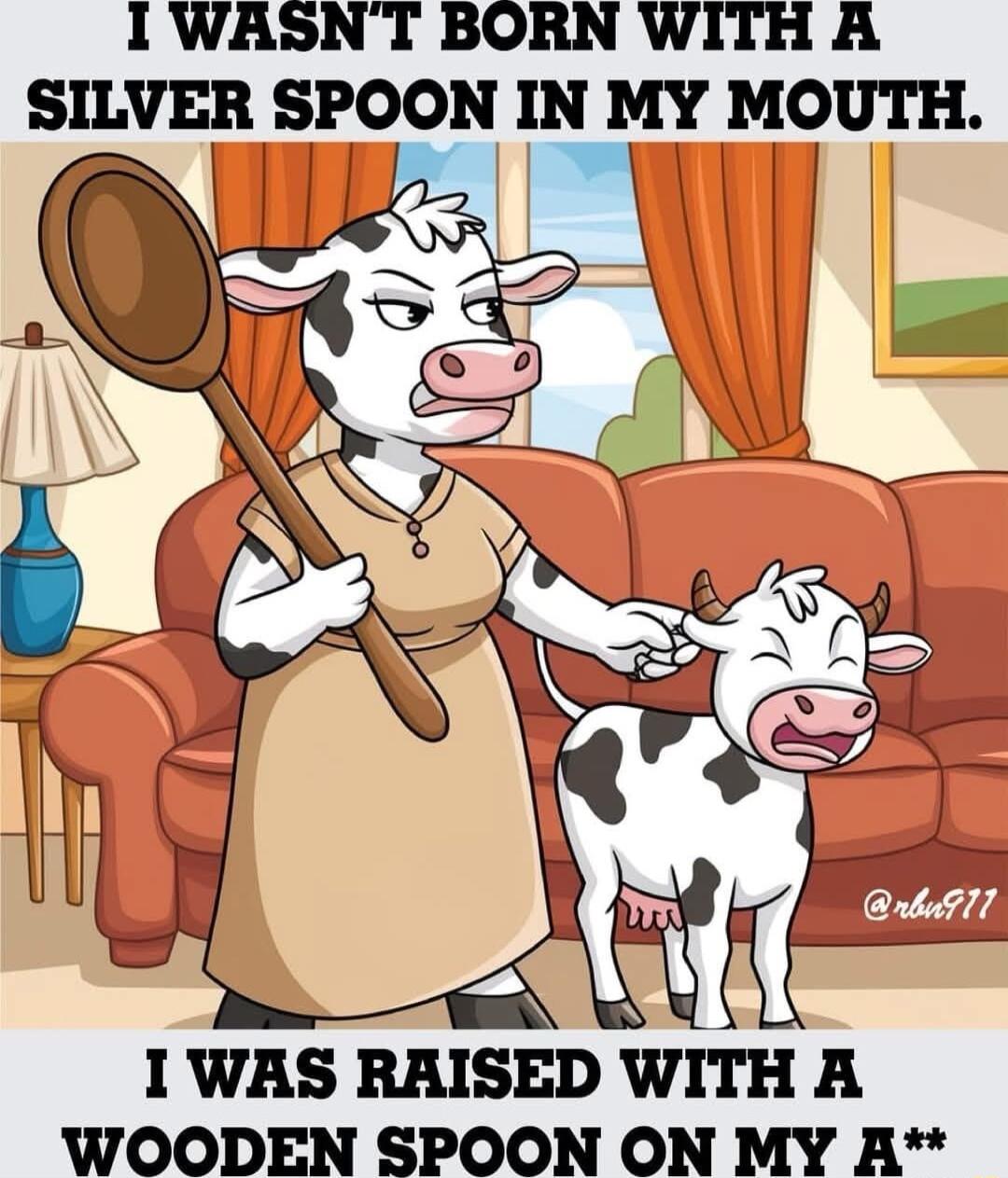 I WASNT BORN WITH A SILVER SPOON IN MY MOUTH I WAS RAISED WITH A WOODEN SPOON ON MY AR