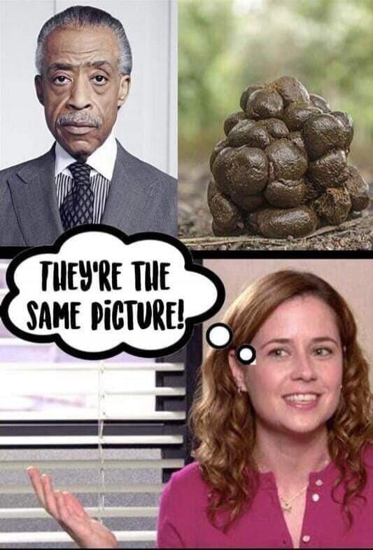 THEY'RE THE SAME PICTURE!