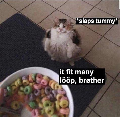 o b ffaps tur it fit many 166p brether