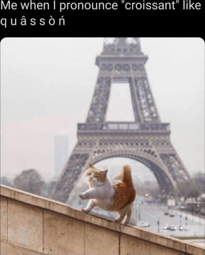 Me when pronounce croissant IR