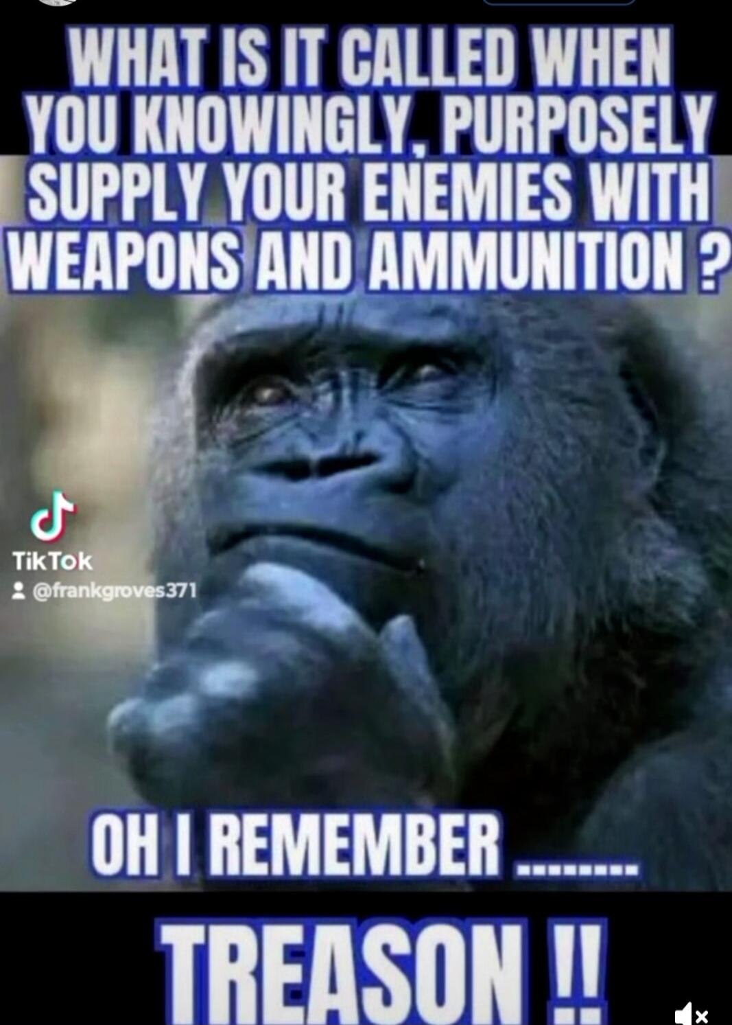 WHAT IS IT CALLED WHEN YOU KNOWINGLY, PURPOSELY SUPPLY YOUR ENEMIES WITH WEAPONS AND AMMUNITION? OH I REMEMBER ....... TREASON!!
