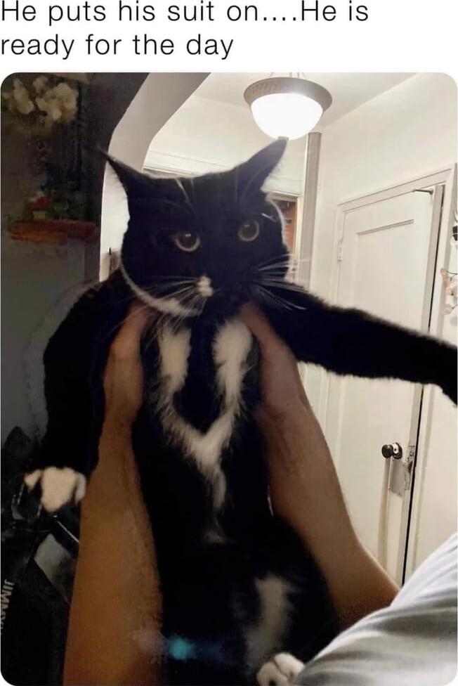 e puts ready for the day