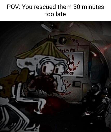 POV You rescued them 30 minutes too late