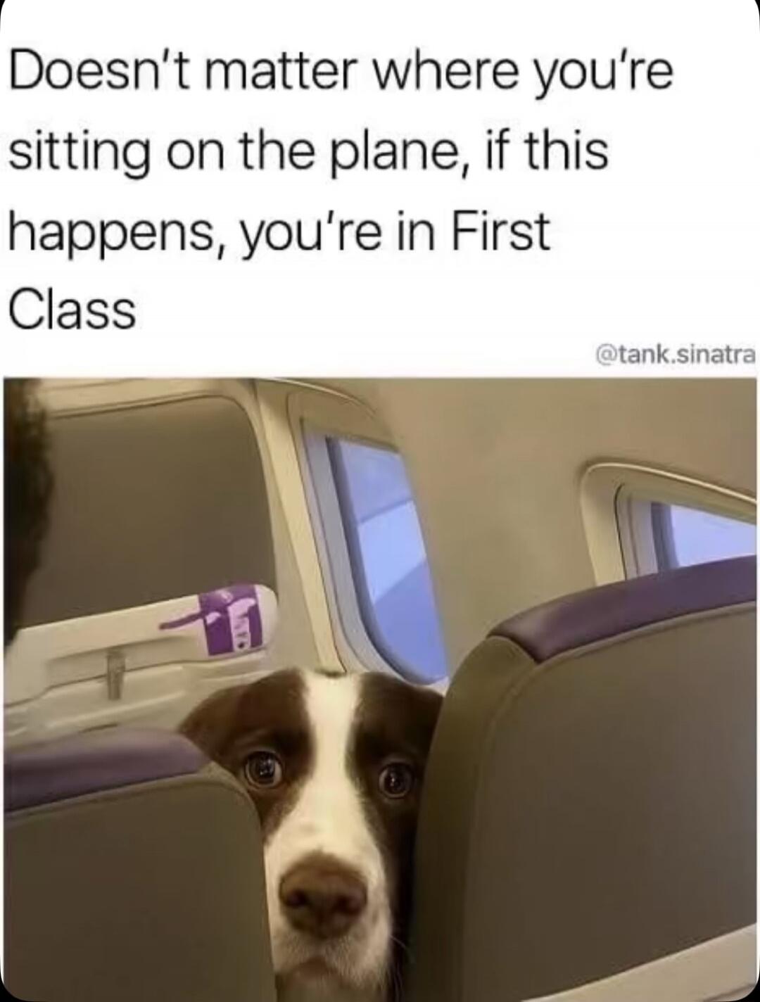 Doesn't matter where you're sitting on the plane, if this happens, you're in First Class