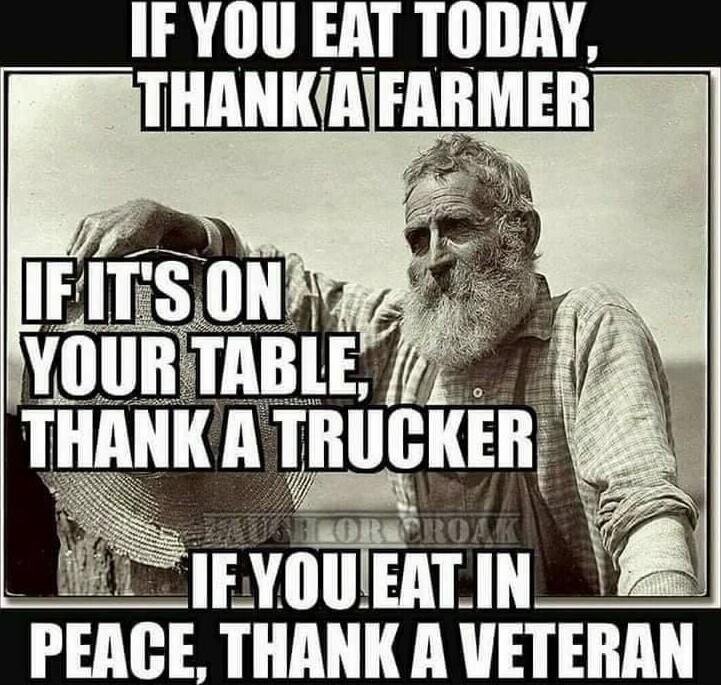 PEACE THANK A VETEIIAN