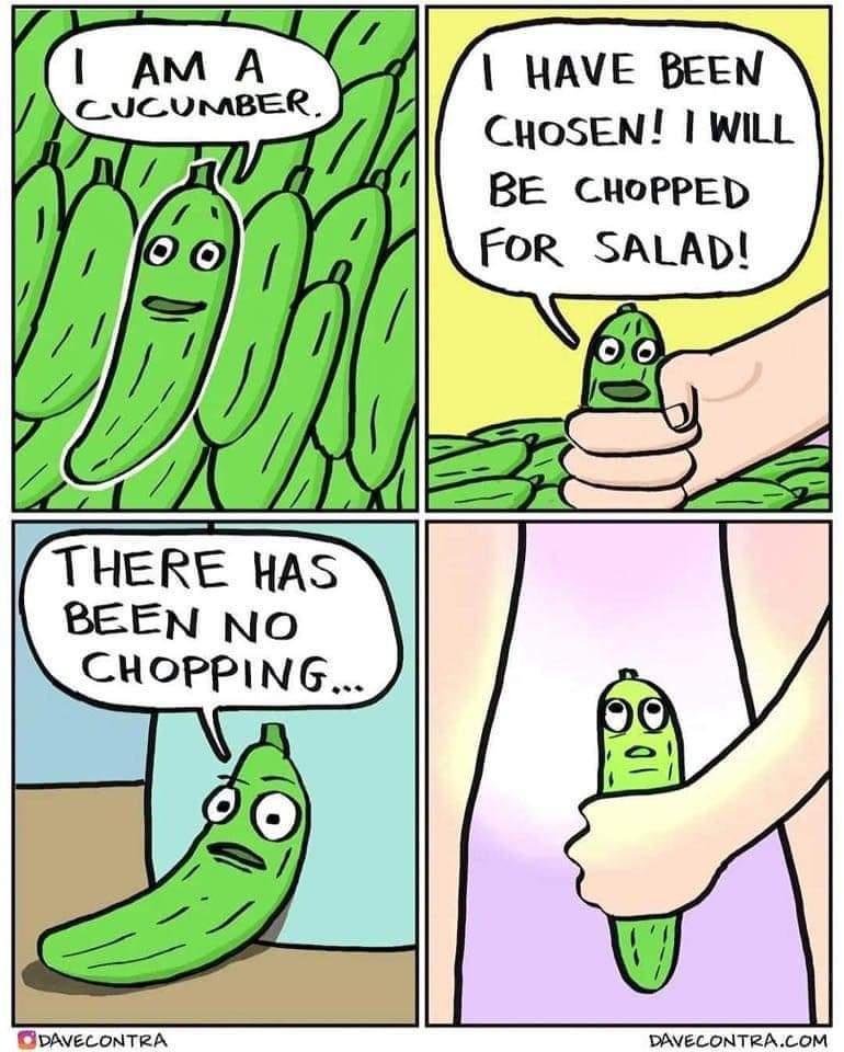 WAVE BEEN CHOSEN I WILL BE CHOPPED FOR SALAD THERE HAS BEEN NO CHOPPING BNECONTRA EPNSCONTRACOM