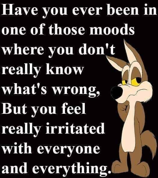 3 EACRY I WAVl iTo0 one of those moods where you dont really know whats wrong But you feel really irritated with everyone and everything1