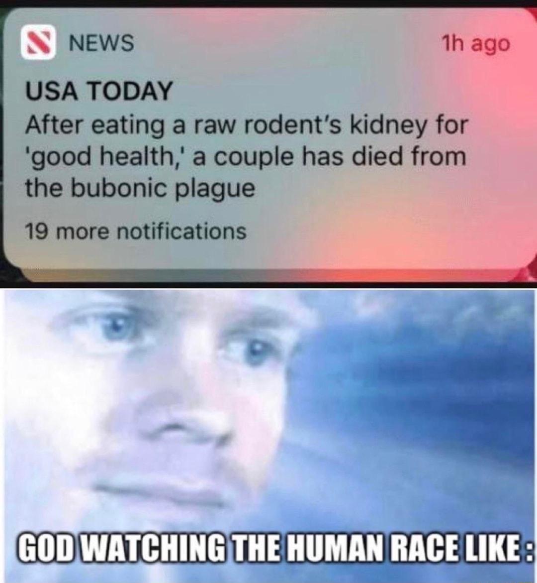 N NEWS USA TODAY After eating a raw rodents kidney for good health a couple has died from the bubonic plague 19 more notifications 1h ago GTHE HUMAN RACE LIKE GODWATCH