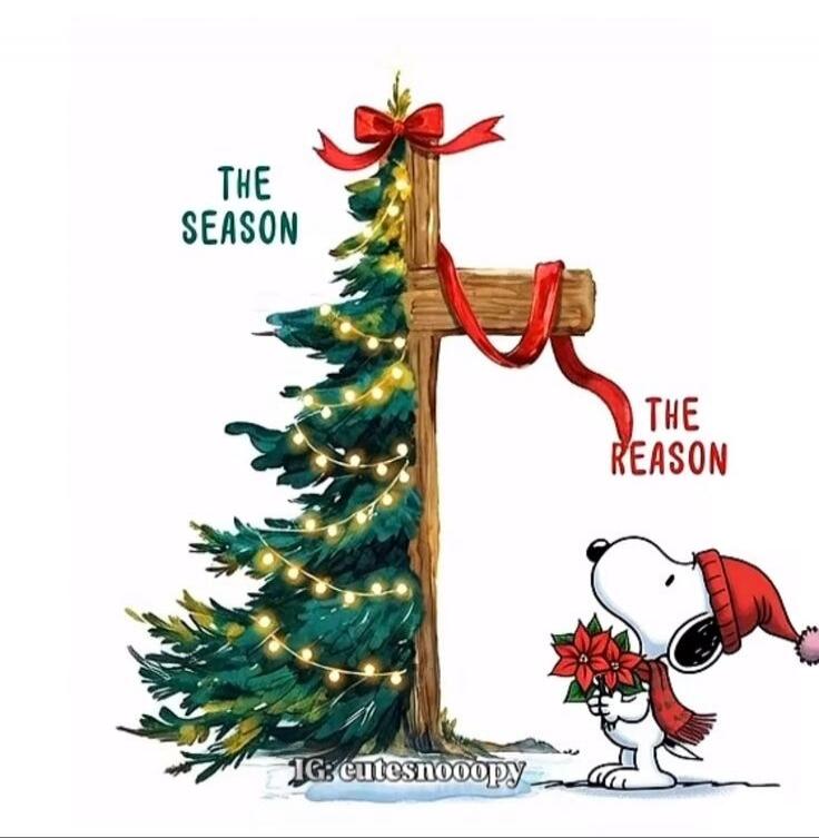 THE SEASON THE REASON IG: cutesnooopy