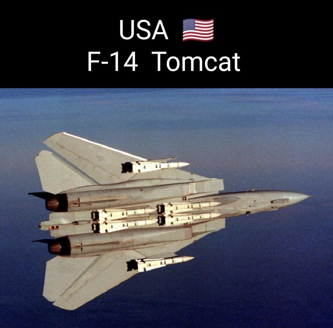 USA 🇺🇸 F-14 Tomcat