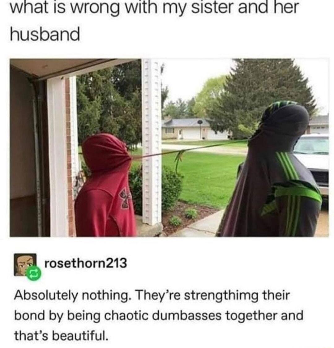 what Is wrong with my sister ana ner husband 5l rosethorn213 Absolutely nothing Theyre strengthimg their bond by being chaotic dumbasses together and thats beautiful