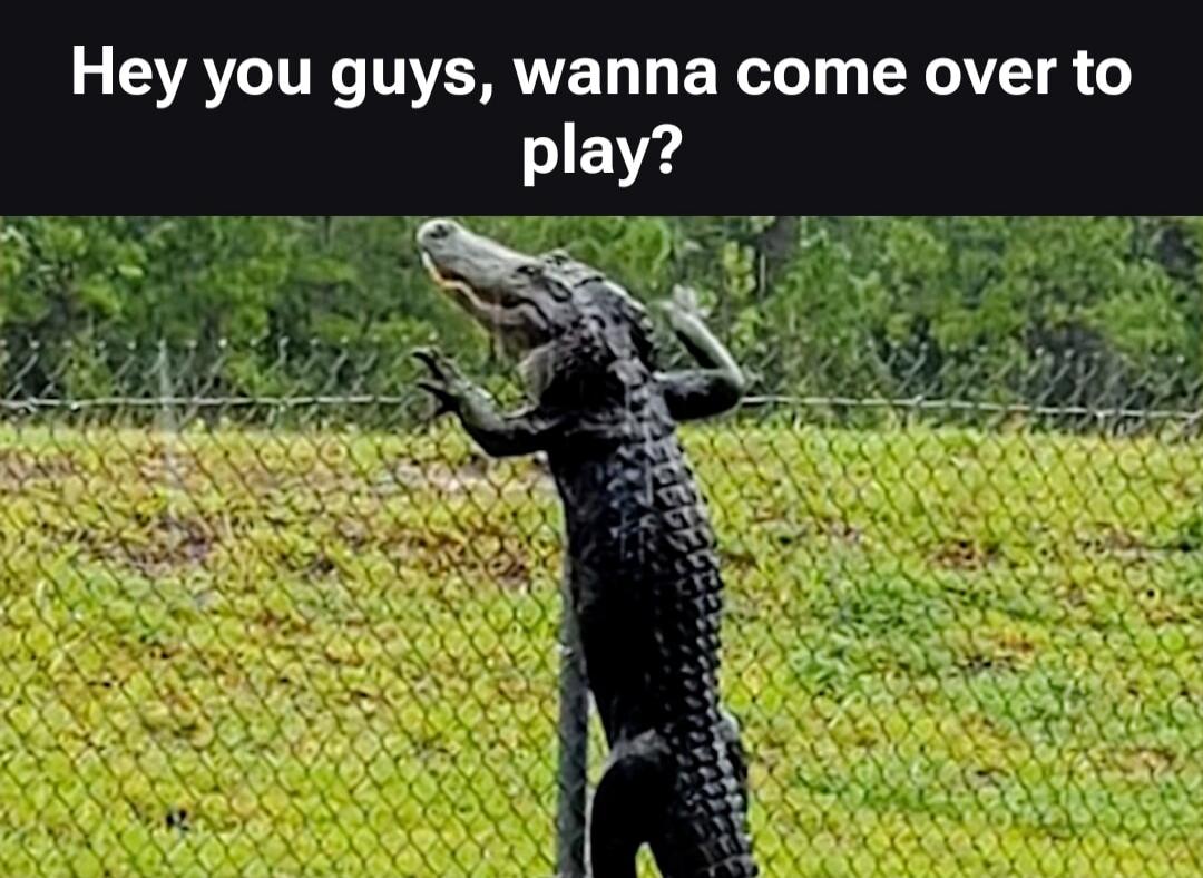 Hey you guys, wanna come over to play?