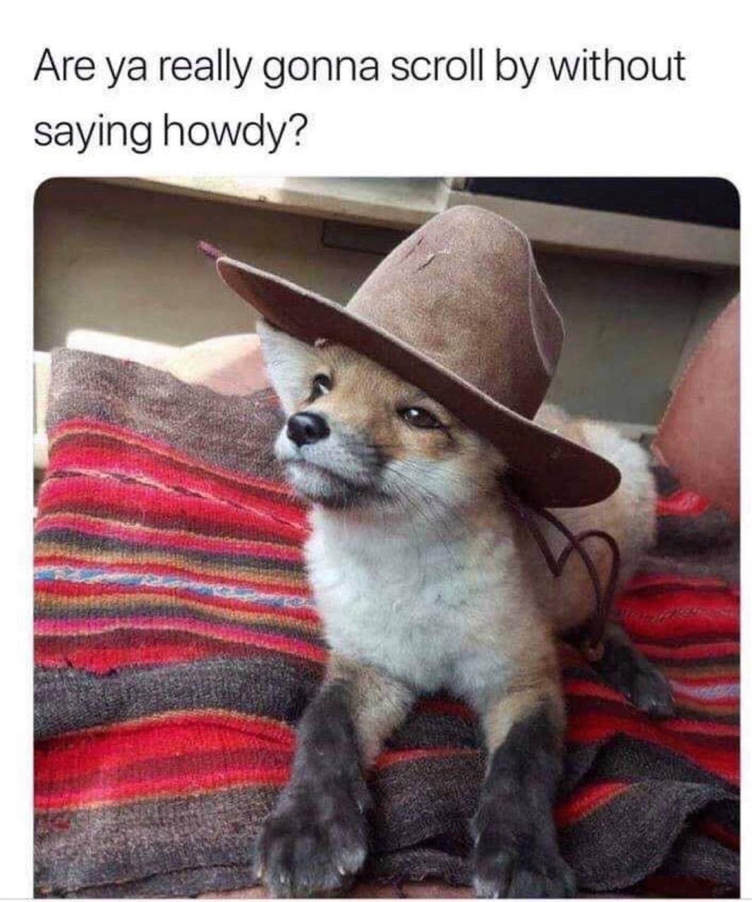 Are ya really gonna scroll by without saying howdy